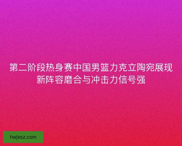 第二阶段热身赛中国男篮力克立陶宛展现新阵容磨合与冲击力信号强 第二阶段热身赛中国男篮力克立陶宛展现新阵容磨合与冲击力信号强