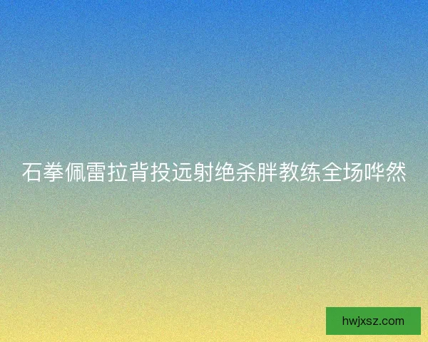 石拳佩雷拉背投远射绝杀胖教练全场哗然